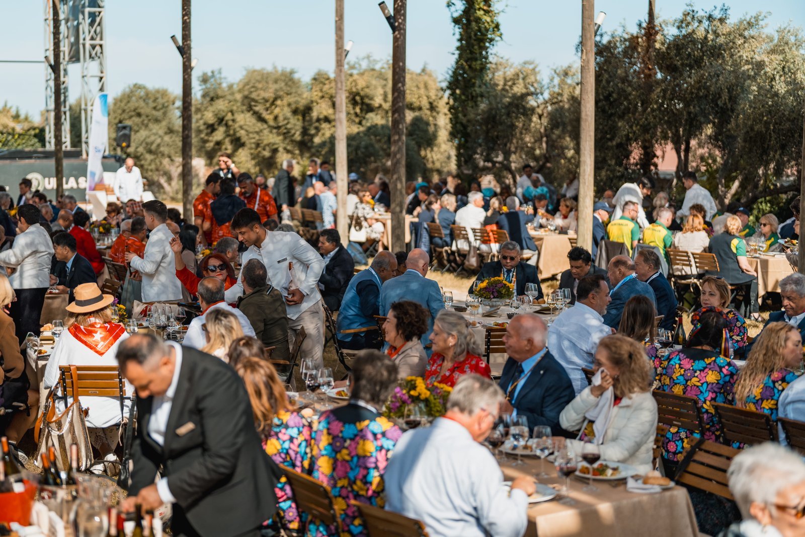 Gallery thumbnail 16